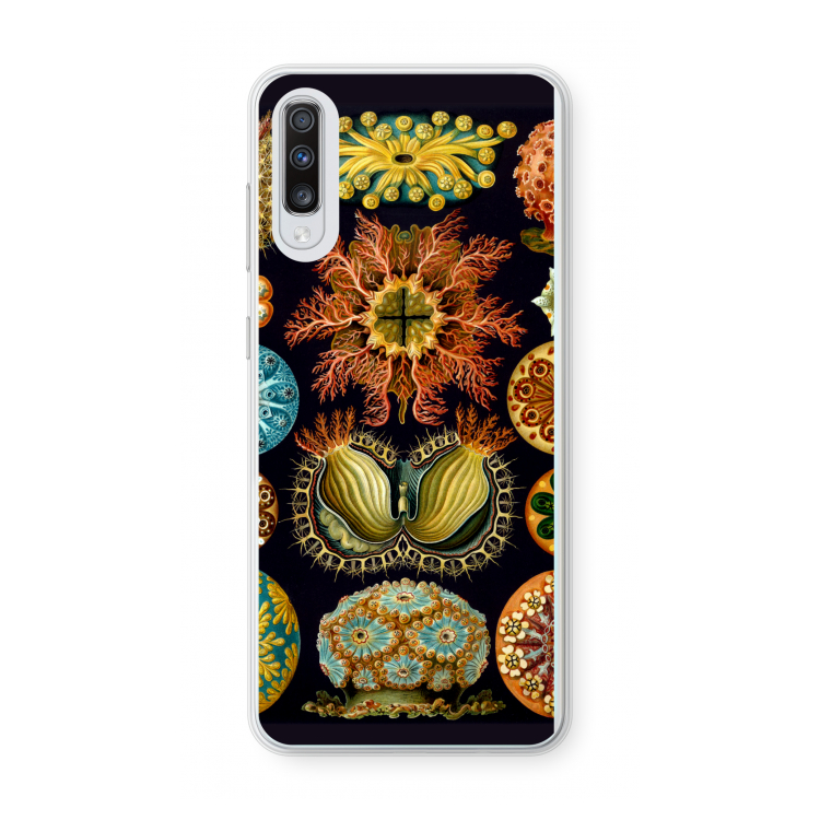 Haeckel Ascidiae: Samsung Galaxy A70 Transparant Hoesje