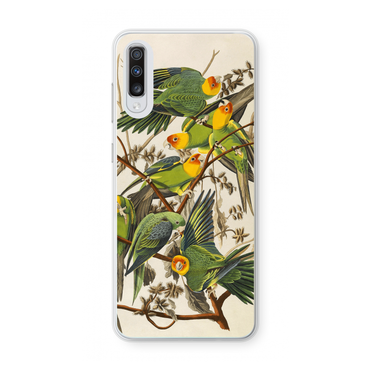 Carolinaparkiet: Samsung Galaxy A70 Transparant Hoesje