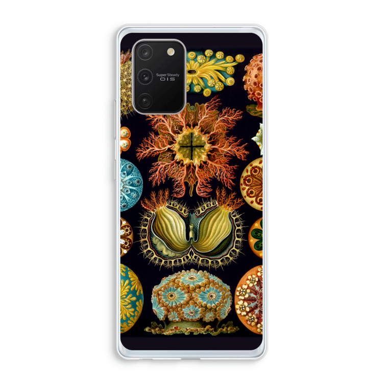 Haeckel Ascidiae: Samsung Galaxy S10 Lite Transparant Hoesje