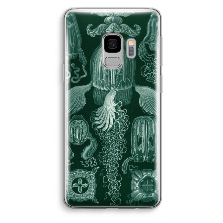 Haeckel Cubomedusae: Samsung Galaxy S9 Transparant Hoesje