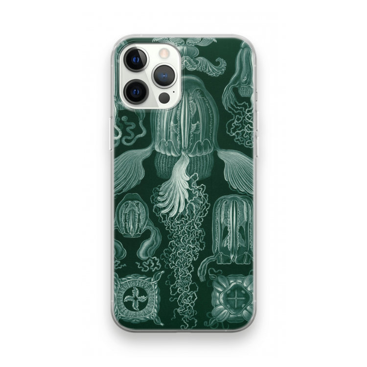 Haeckel Cubomedusae: iPhone 12 Pro Transparant Hoesje