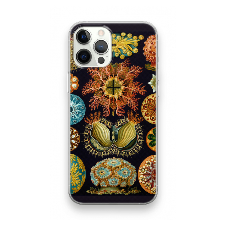 Haeckel Ascidiae: iPhone 12 Pro Transparant Hoesje