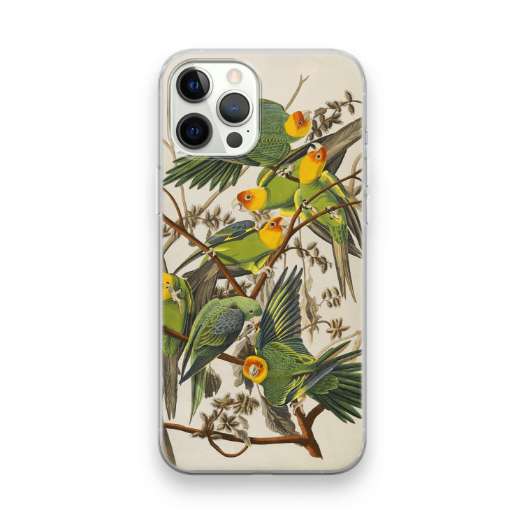 Carolinaparkiet: iPhone 12 Pro Transparant Hoesje