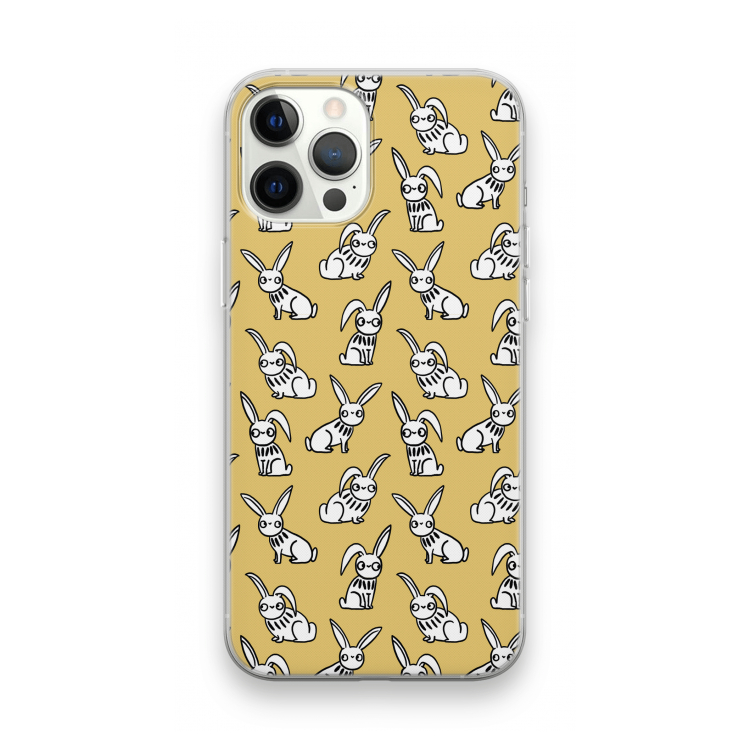 Haas: iPhone 12 Pro Max Transparant Hoesje