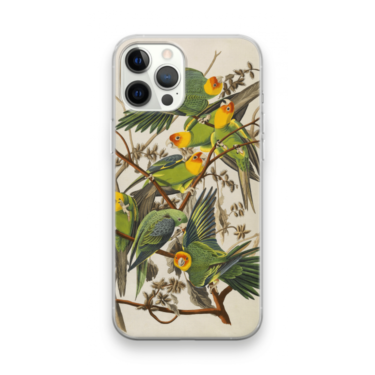 Carolinaparkiet: iPhone 12 Pro Max Transparant Hoesje