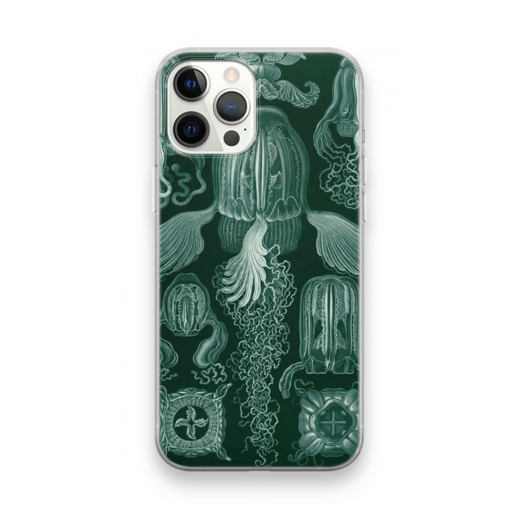 Haeckel Cubomedusae: iPhone 12 Pro Max Transparant Hoesje