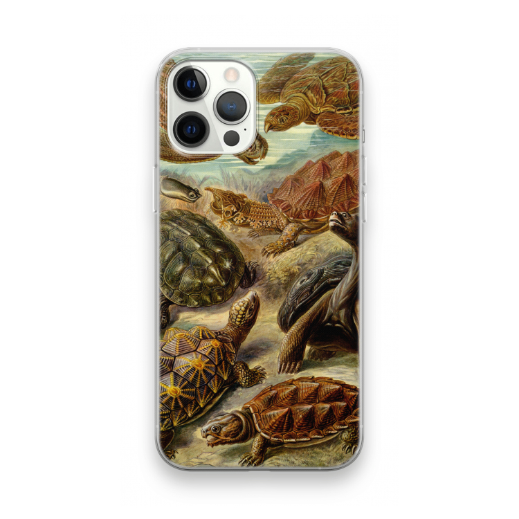 Haeckel Chelonia: iPhone 12 Pro Max Transparant Hoesje