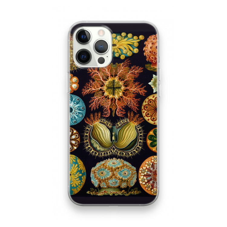 Haeckel Ascidiae: iPhone 12 Pro Max Transparant Hoesje
