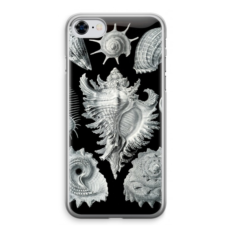 Haeckel Prosobranchia: iPhone 8 Transparant Hoesje