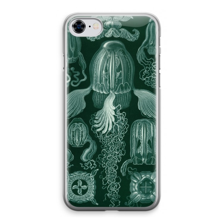 Haeckel Cubomedusae: iPhone 8 Transparant Hoesje
