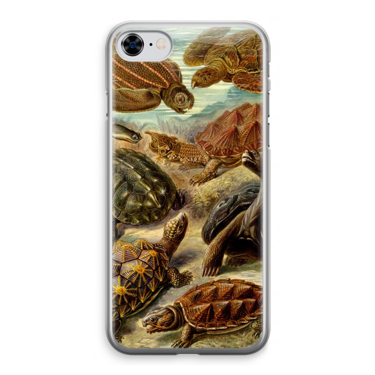 Haeckel Chelonia: iPhone 8 Transparant Hoesje