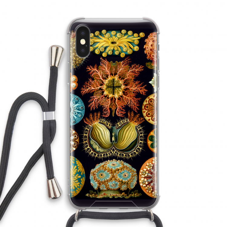 Haeckel Ascidiae: iPhone X Transparant Hoesje met koord