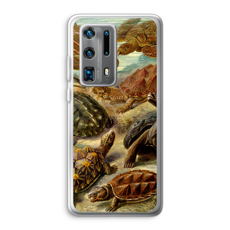 Haeckel Chelonia: Huawei P40 Pro Plus Transparant Hoesje
