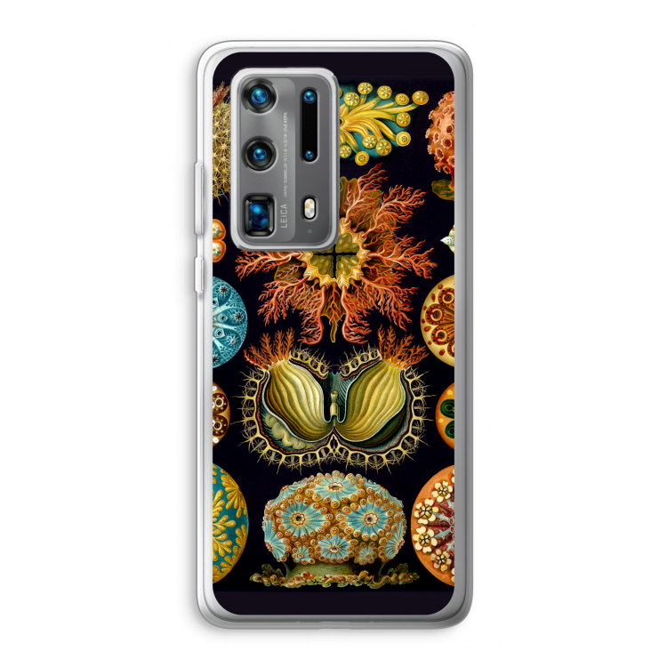 Haeckel Ascidiae: Huawei P40 Pro Plus Transparant Hoesje