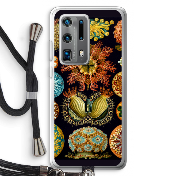 Haeckel Ascidiae: Huawei P40 Pro Plus Transparant Hoesje met koord