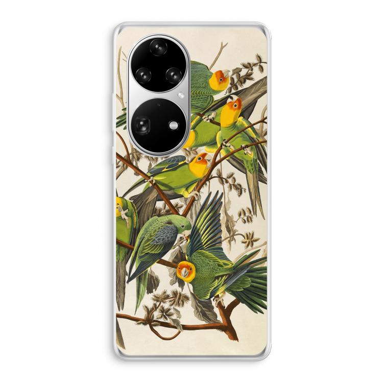 Carolinaparkiet: Huawei P50 Pro Transparant Hoesje