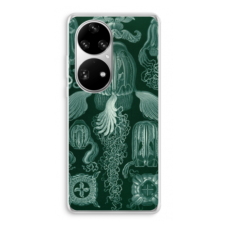 Haeckel Cubomedusae: Huawei P50 Pro Transparant Hoesje