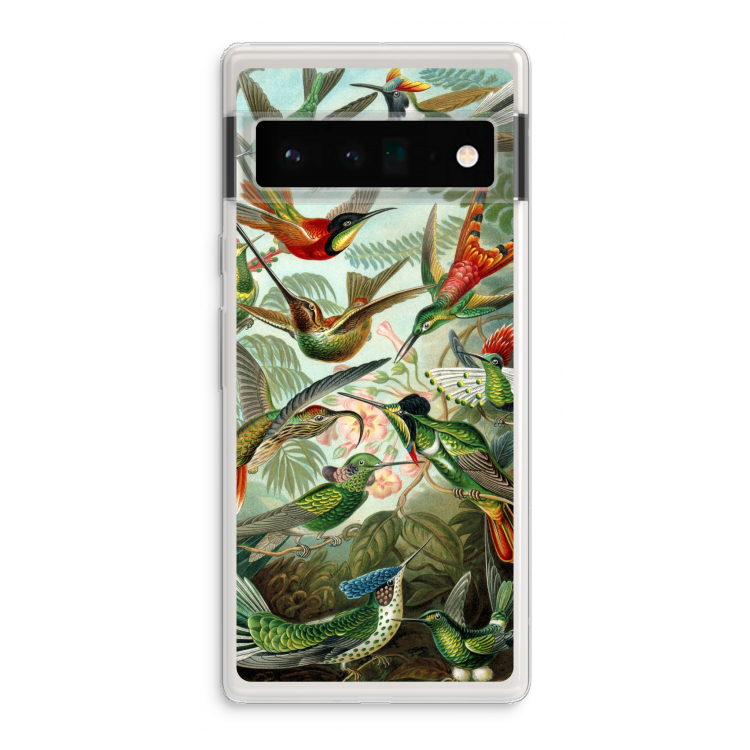 Haeckel Trochilidae: Google Pixel 6 Pro Transparant Hoesje