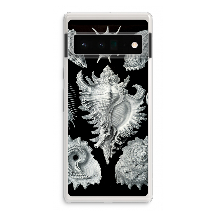 Haeckel Prosobranchia: Google Pixel 6 Pro Transparant Hoesje
