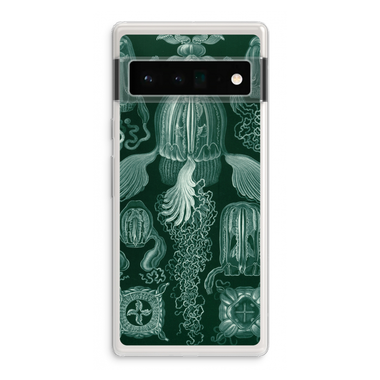 Haeckel Cubomedusae: Google Pixel 6 Pro Transparant Hoesje
