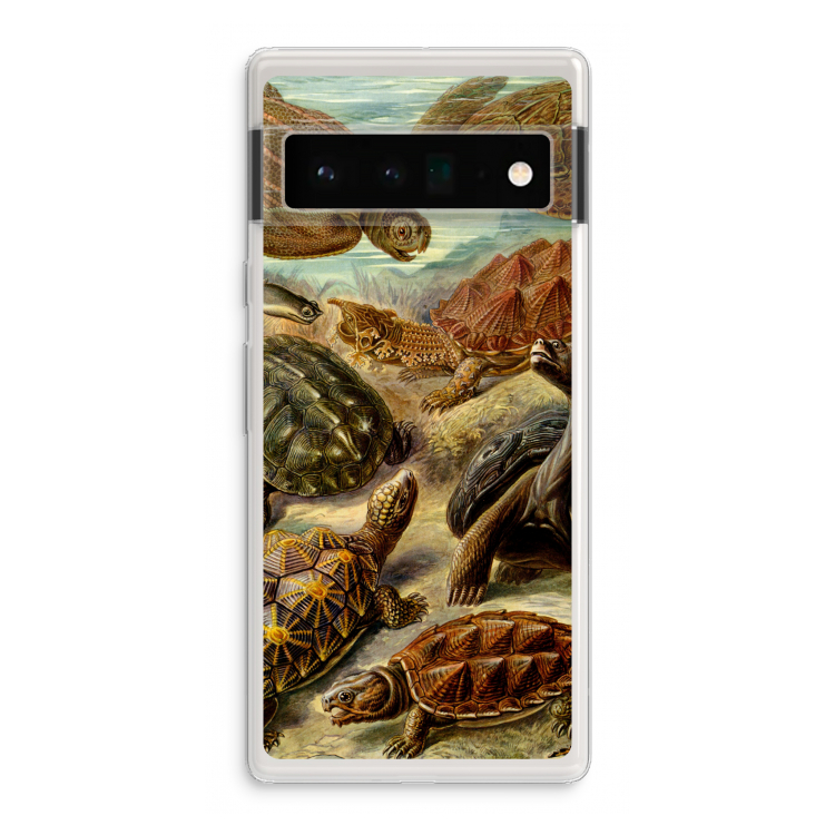 Haeckel Chelonia: Google Pixel 6 Pro Transparant Hoesje