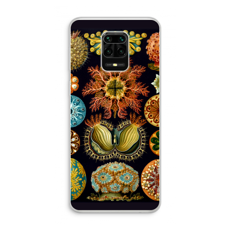 Haeckel Ascidiae: Xiaomi Redmi Note 10 Lite Transparant Hoesje