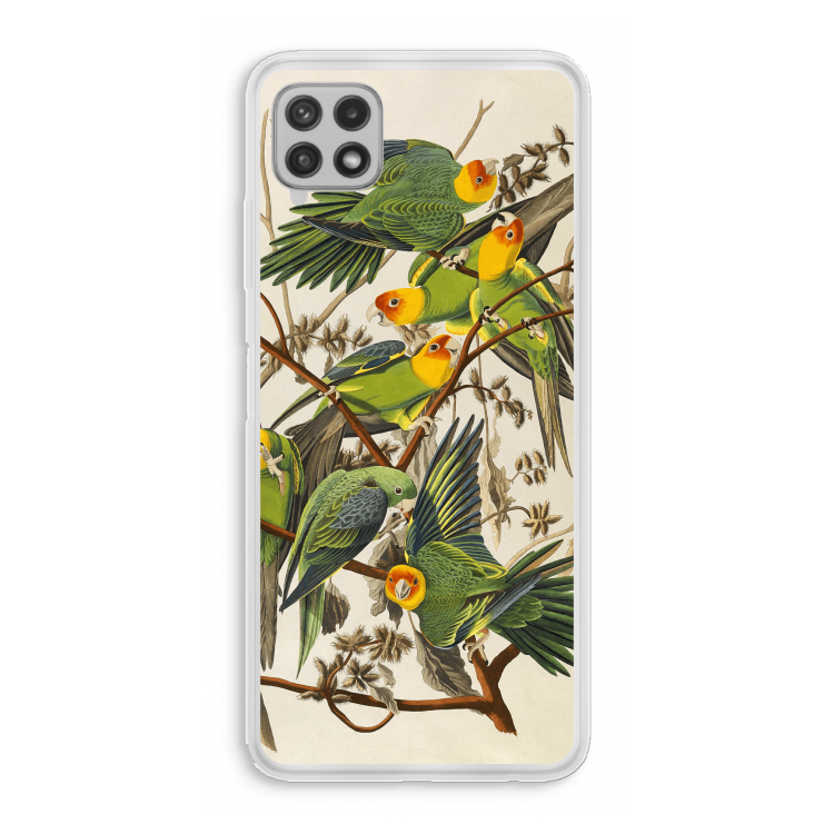 Carolinaparkiet: Samsung Galaxy A22 4G Transparant Hoesje