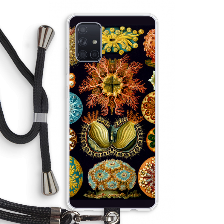 Haeckel Ascidiae: Samsung Galaxy A71 Transparant Hoesje met koord