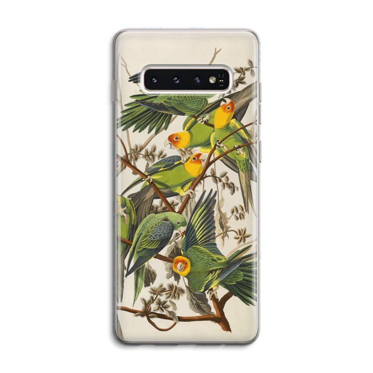 Carolinaparkiet: Samsung Galaxy S10 4G Transparant Hoesje