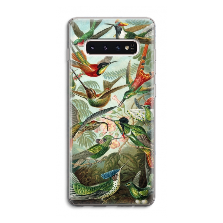 Haeckel Trochilidae: Samsung Galaxy S10 4G Transparant Hoesje