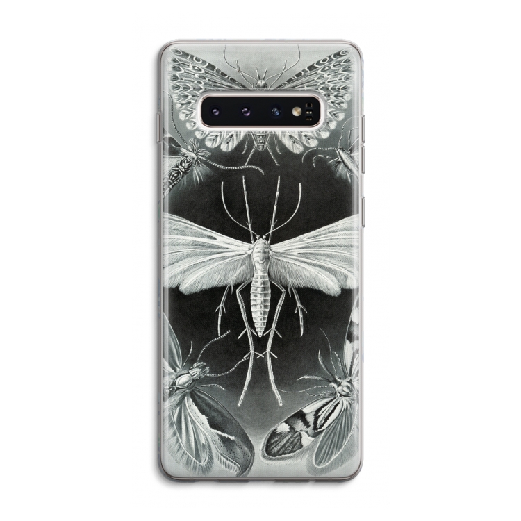 Haeckel Tineida: Samsung Galaxy S10 4G Transparant Hoesje