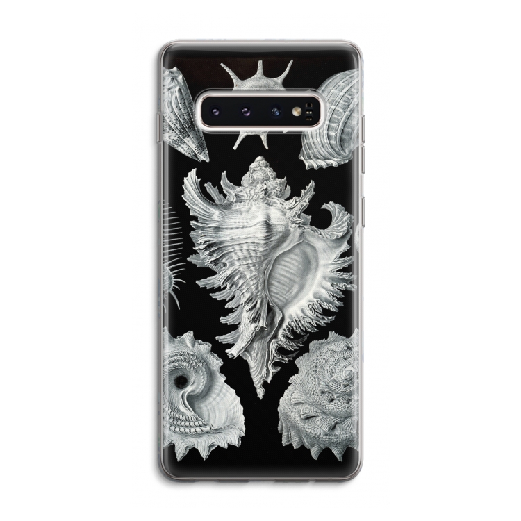 Haeckel Prosobranchia: Samsung Galaxy S10 4G Transparant Hoesje