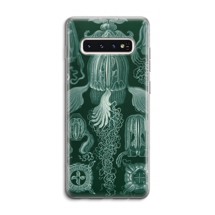 Haeckel Cubomedusae: Samsung Galaxy S10 4G Transparant Hoesje