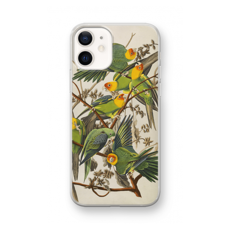 Carolinaparkiet: iPhone 12 mini Transparant Hoesje