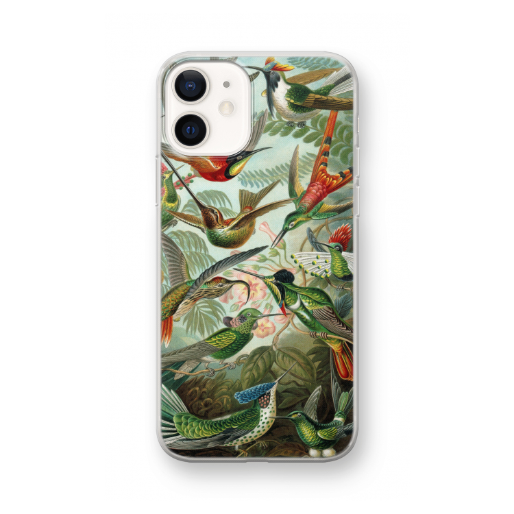 Haeckel Trochilidae: iPhone 12 mini Transparant Hoesje