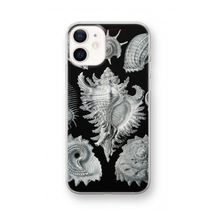 Haeckel Prosobranchia: iPhone 12 mini Transparant Hoesje