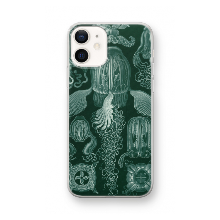 Haeckel Cubomedusae: iPhone 12 mini Transparant Hoesje