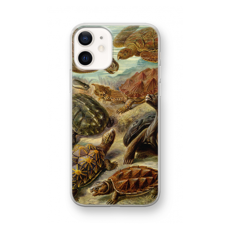 Haeckel Chelonia: iPhone 12 mini Transparant Hoesje