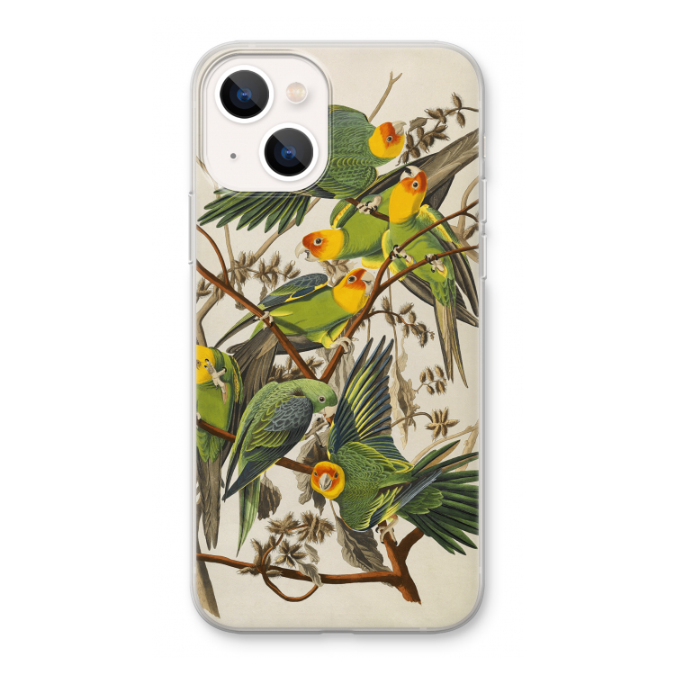 Carolinaparkiet: iPhone 13 Transparant Hoesje