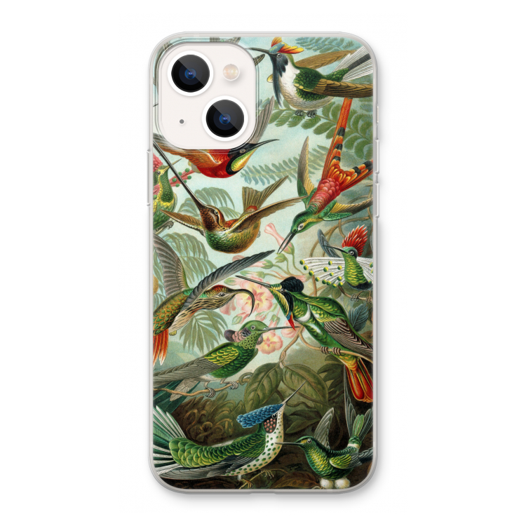 Haeckel Trochilidae: iPhone 13 Transparant Hoesje
