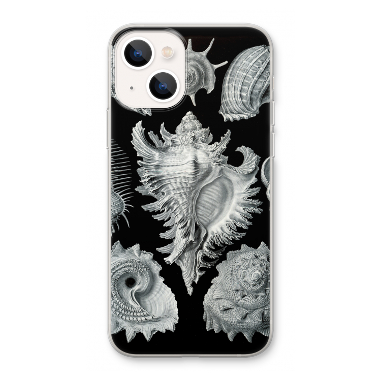 Haeckel Prosobranchia: iPhone 13 Transparant Hoesje