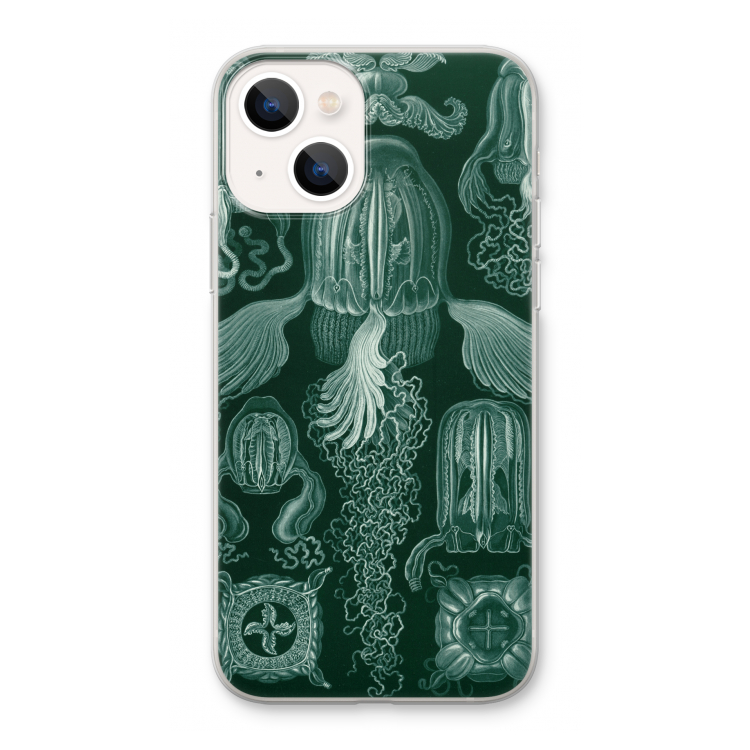 Haeckel Cubomedusae: iPhone 13 Transparant Hoesje