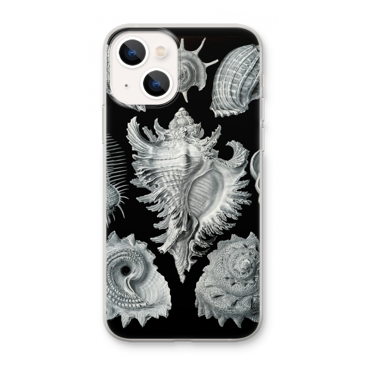 Haeckel Prosobranchia: iPhone 13 mini Transparant Hoesje