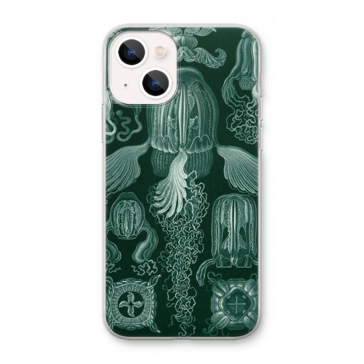 Haeckel Cubomedusae: iPhone 13 mini Transparant Hoesje