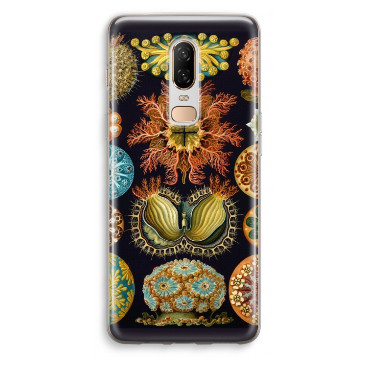 Haeckel Ascidiae: OnePlus 6 Transparant Hoesje