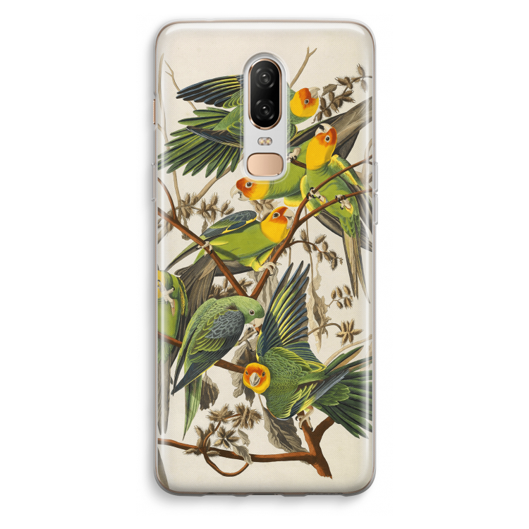 Carolinaparkiet: OnePlus 6 Transparant Hoesje