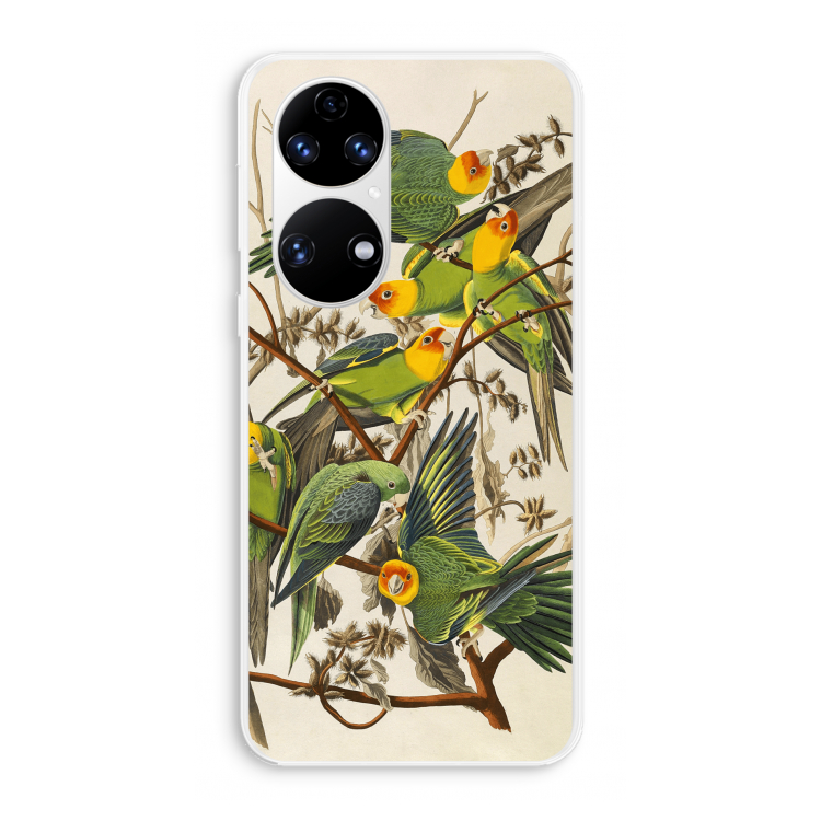 Carolinaparkiet: Huawei P50 Transparant Hoesje