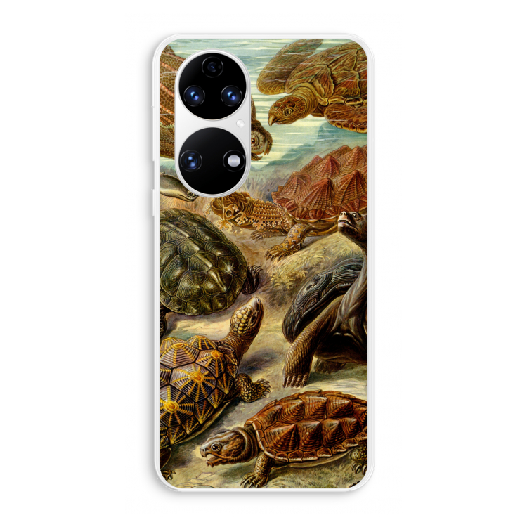 Haeckel Chelonia: Huawei P50 Transparant Hoesje