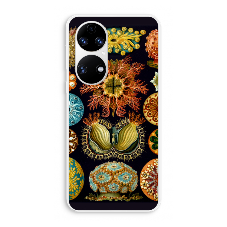 Haeckel Ascidiae: Huawei P50 Transparant Hoesje