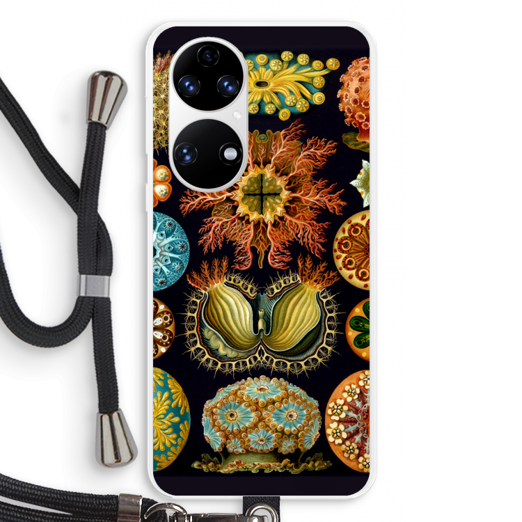 Haeckel Ascidiae: Huawei P50 Transparant Hoesje met koord